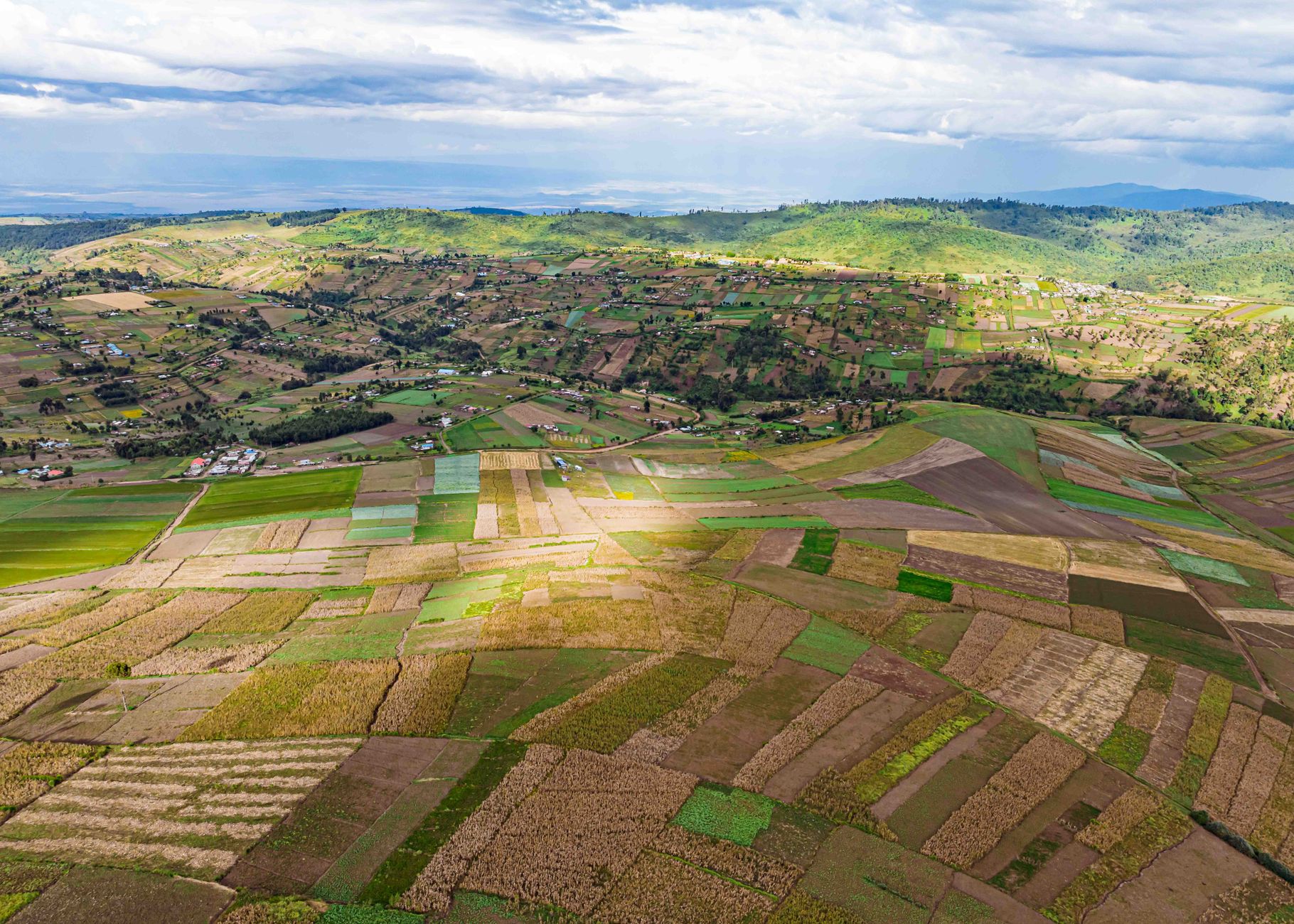 Smallholder farmers backed by ELT