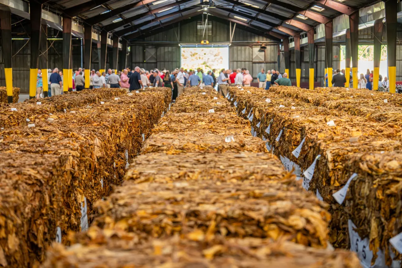 The auction floor